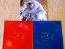 Jeff The Brotherhood Tour Only Flexi Set Red & Blue 3D Cover #'d Out Of  250