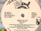 SKYY here's to you 12