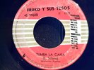 FRUKO Y SUS TESOS 