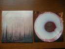 IF THESE TREES COULD TALK - RED FOREST /LP/ --- EURO TOUR PRESS giants ittct