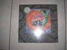 DOUBLE LP 33T CLEAR WAX-PINK FLOYD-AND THE GREEN FAIRY LIVE-NEUF