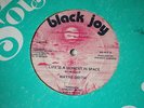 wayne smith life is a moment in space black joy 12