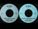 Banny Price MONKEY-SEE MONKEY-DO Northern Deep Soul ? There Goes The Girl