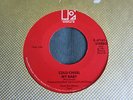 Cold Chisel Cheap Wine My Baby 1981 Elektra Records 45