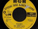GARAGE 45 THE TEDDY BOYS JEZEBEL MGM PROMO HEAR