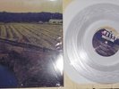 Glamour Kills Wonder Years Polar Bear Club Story So Far Transit Rare Clear /500