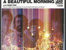 THE YOUNG RASCALS   BEAUTIFUL MORNING   RARE NM PICTURE SLEEVE + 45