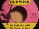 GARAGE shadows of knight I'M GONNA MAKE YOU MINE snotty PUNK