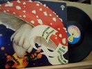 LP:Witthüser & Westrupp - Der Jesus Pilz, Original auf Pilz, RARE KRAUTROCK, FOC
