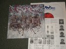 NO MERCY LP - SUICIDAL TENDENCIES - WIDESPREAD RARE PRIVATE METAL NM *INSERTS*