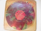 Talking Heads Speaking in Tounges Picture Disc  Robert Rauschenberg  Sealed