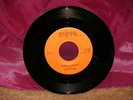 PETER PUNK PUBLIC ENEMY 45 7