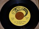 LITTLE JUNIOR LEWIS - CAN SHE GIVE ME FEVER - FURY - R & B MOD VG++