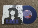 T.REX-TELEGRAM SAM 7