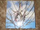 Moby - The Poison Tree(David Lynch)LTD Numbered(180)12