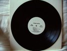 Frank Zappa  Sheik Yerbouti   Promo  LP