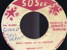 Michael Levy - When I Gonna Get My Freedom JA orig 45 ??