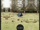 LOOSE TAPESTRIES Luxury Comedy Tape Record Store Day 2012 Noel Fielding Kasabian