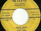 Jimmy Wert and The Four Squirts - Skyline 752 - Bingo Blues ( Super Rocker )