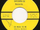 SHIRLEY LAWSON So Much To Me/Sad Sad Day rare ENTERPRISE soul 45 hear it