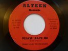 DRAKE & THE ENSOLIDS - PLEASE LEAVE ME - ALTEEN Chicago Stormer, best copy ever