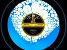 Liquid Fill Record(jack White)