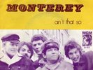 ERIC BURDON and the ANIMALS 45 MONTEREY+PS GERMANY RARE