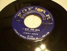 Rockabilly Kenny Owen I Got The Bug Poplar #106 Listen