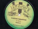 Pebbles POSITIVE VIBRATIONS & COMPELLED Cosmic Idren A Classic Roots LISTEN