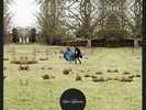 LOOSE TAPESTRIES THE LUXURY COMEDY RECORD STORE DAY KASABIAN NOEL FIELDING RSD