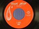 HIM Texas garage/rock 45 4 A.M. / IT'S A MAN DOWN THERE  TEAR DROP M-