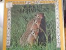 Blink 182 - Lemmings 7