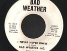 SOUL 45 BAD WEATHER INC. I NEVER NEVER KNEW BAD WEATHER VG++