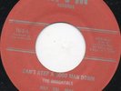 The Immortals - Can't Keep A Good Man Down - Original Press Roots 7 Inch