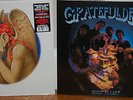 Grateful Dead Dark Star LP RSD europe 72 + Built To Last BLUE VINYL LTD. 300