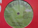 BABYLON WALLS - DELROY PINNOCK - SHAKA KILLER ??