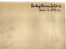 2xLP Babyshambles 