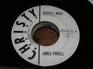 James Powell 60s VOCAL GROUP 45 Beverly Angel / Lidia