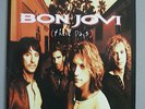 BON JOVI THESE DAYS VINYL