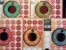 Ramones / Flamin' Groovies / Richard Hell / Dead Boys / Patti Smith