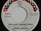 DIMPLES JACKSON Love Came Tumbling Down GARDENA Popcorn Soul Mod 45 HEAR MP3