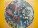 IRON MAIDEN THE NUMBER OF THE BEAST PICTURE DISC LP