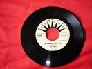 The Robins Promo 45 (Knight X2008) IT'S NEVER TOO LATE + A LITTLE BIRD TOLD ME