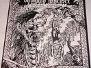 DEVIATED INSTINCT Rock N' Roll Conformity LP on Peaceville Lyric inner EX+