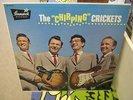 Chirping Crickets Textured Cover Black Brunswick vinyl LP Brunswick Records