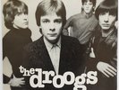 Droogs, 