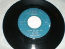 THE POETS Never Let You Go/I'm Falling Love SHADE 001X45 rare 1960 Doo-Wop nice