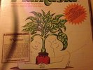 Mort Garson-Plantasia PRIVATE MOOG/SYNTH WITH BOOKLET