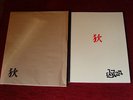 BOB DYLAN THE EYE OF THE HURRICANE JAPAN BOOK