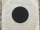 THE PRIMITIVE CALCULATORS AUSSIE PUNK(PRIVATE RECORD)EXCELLENT,NO COVER